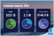 Economic impacts for U.S. commercial and recreational fisheries in 2022