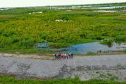 Aerial shot of a group of people waving while standing in a restored marsh