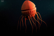 Cornate jellyfish (Periphyllopsis braueri), which can be found in deepwater habitats in the Gulf of Alaska. Photo courtesy of NOAA/UAF/Oceaneering.