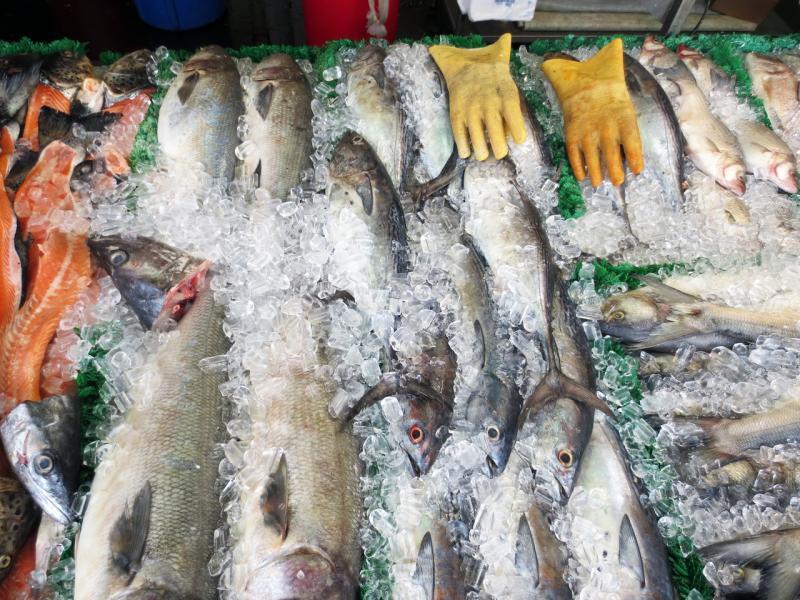 Seafood counter, fish on ice