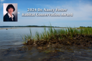 An inset of Dr. Nancy Foster on picture of green marsh grasses and water.