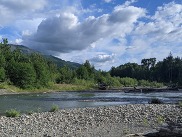 South Fork Nooksack River. Photo credit: Robert Ashworth.
