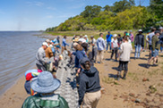 Volunteers building an oyster castle living shoreline reef near Marine Corps Air Station Beaufort (Photo: Lance Cpl. Kyle Baskin/U.S. Marine Corps)