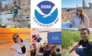 Collage of photos of the five young people who are interning with the NOAA Chesapeake Bay Office this summer.
