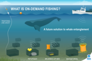 inforgraphic with on-demand fishing systems pictured