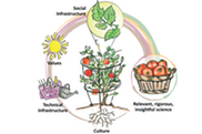 cartoon illustrates how kind, open science is similar to growing a vegetable garden