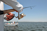 recreational angler fishing on a boat