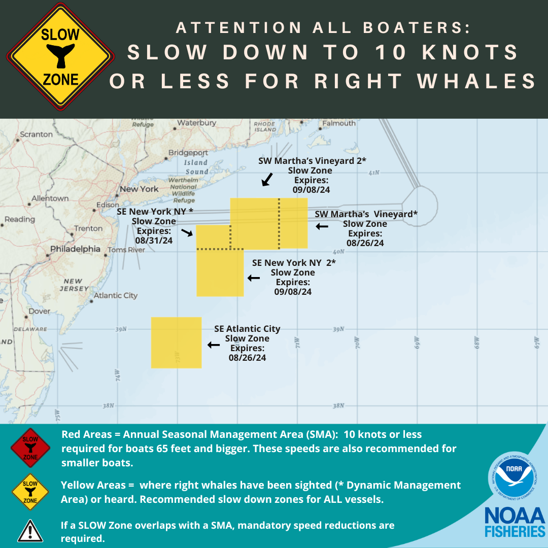 Map of current North Atlantic right whale slow zones in the northeast.