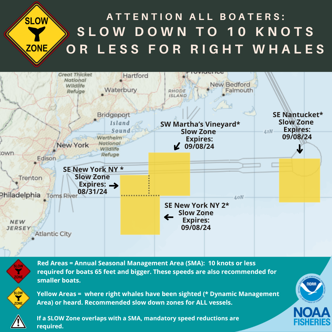 Map of current right whale slow zones in the northeast.
