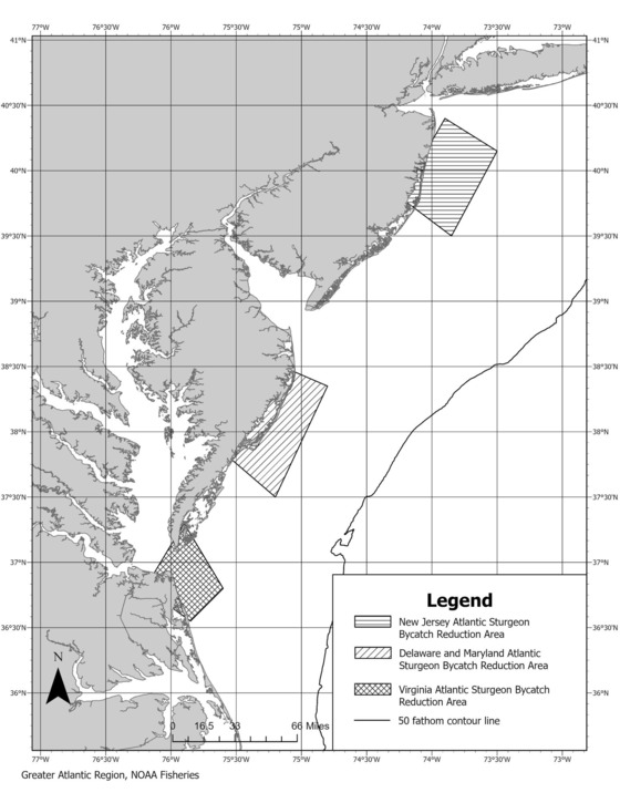 Proposed Atlantic Sturgeon Bycatch Reduction Areas