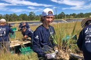 A group of young adults wearing OysterCorps shirts planting grasses in a marsh.