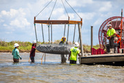 A crew of men handle a large mesh basket filled with rocks.