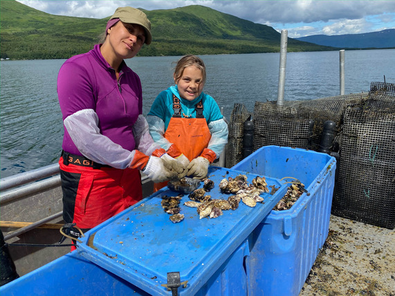 Sorting oysters at Kodiak Ocean Bounty in Alaska (Courtesy of Kodiak Ocean Bounty.)