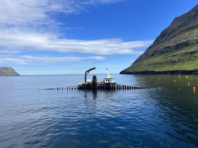 Seaweed aquaculture in the Faroe Islands (NOAA)