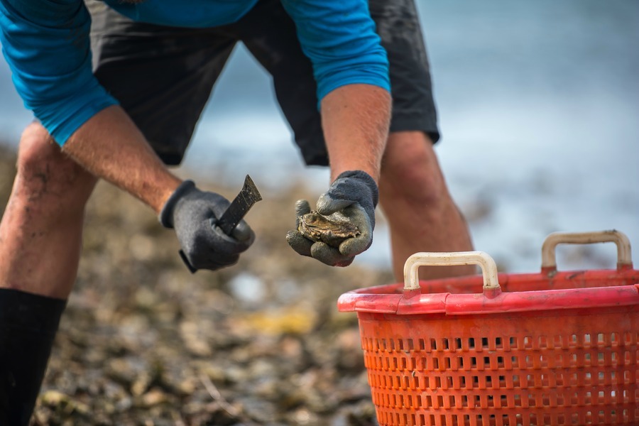 (Image credit: Courtesy of South Carolina Aquarium Good Catch Program)