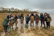 University students explore an estuary shoreline at the Pine Knoll Shores Aquarium. Credit: North Carolina Coastal Federation.