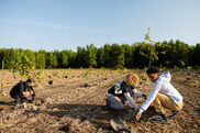 Three students kneel in a dirt plot to plant trees in Delaware. Photo by Chesapeake Bay Program/Will Parson.