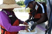 A woman holds a fish on a measuring stick while a man observes how long the fish is. 