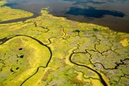  View of a tidal marsh and creeks from Blackwater National Wildlife Refuge in Maryland.Credit: Will Parson/Chesapeake Bay Program.