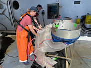 Washing down plankton sampling nets.