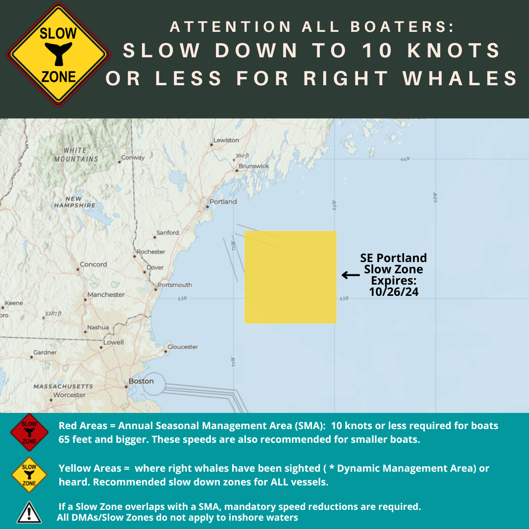 SE Portland Slow Zone