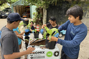 Students from HILT's Ahupuaʻa Stewards Program pot native loulu palms in the Waiheʻe nursery for eventual outplanting. Credit: Hawaiʻi Land Trust.