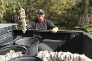 A man in sunglasses and a baseball cap holding up a stack of oyster shells above the bed of a pickup truck. Credit: Jonny Mathes.