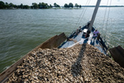 A man on the deck of a boat uses water to spray oyster spat-on-shell into the Tred Avon River, Maryland. Credit: Chesapeake Bay Program/Will Parson.