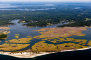 Aerial photo of a wetland