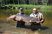 Two people in waders standing in waist deep water hold up a 140-plus pound female lake sturgeon