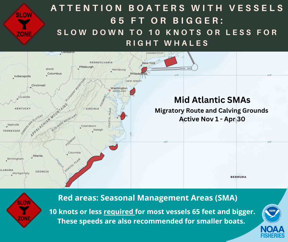 Mid-Atlantic Seasonal Management Areas