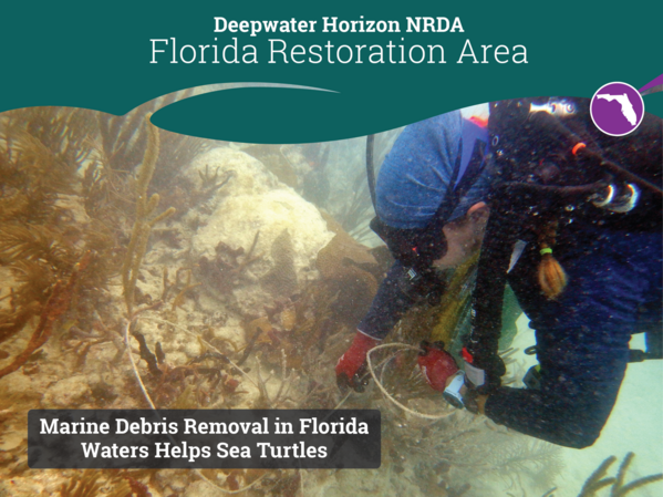 2024-10-fl- ST marine debris