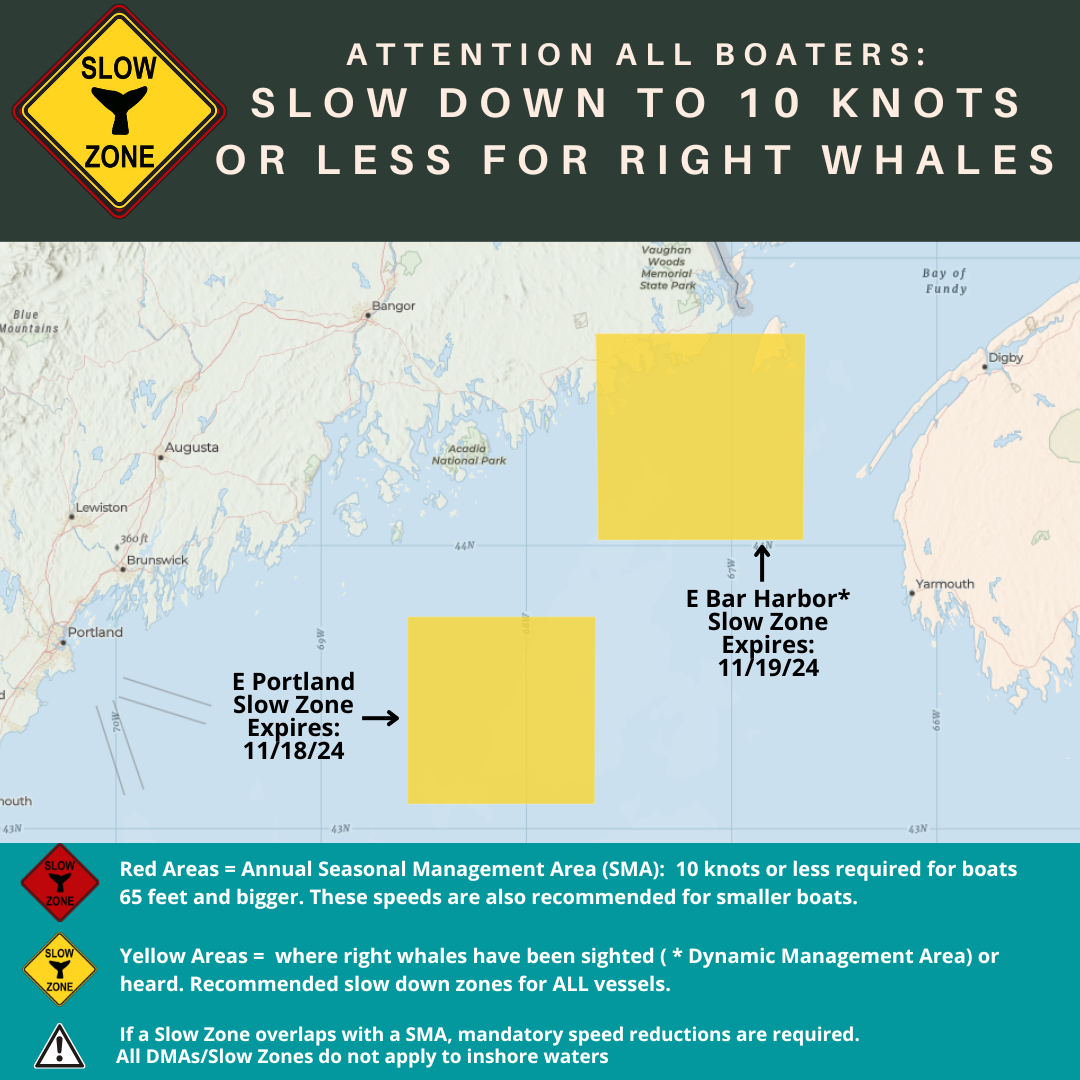 Right Whale Slow Zones in the Gulf of Maine as of 11/5/24