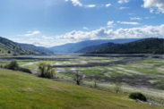 A wide shot image of plants sprouting from the reservoir footprint on the Klamath river on a partly cloudly day. 