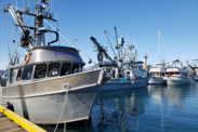 Fishing boats docked at a port.