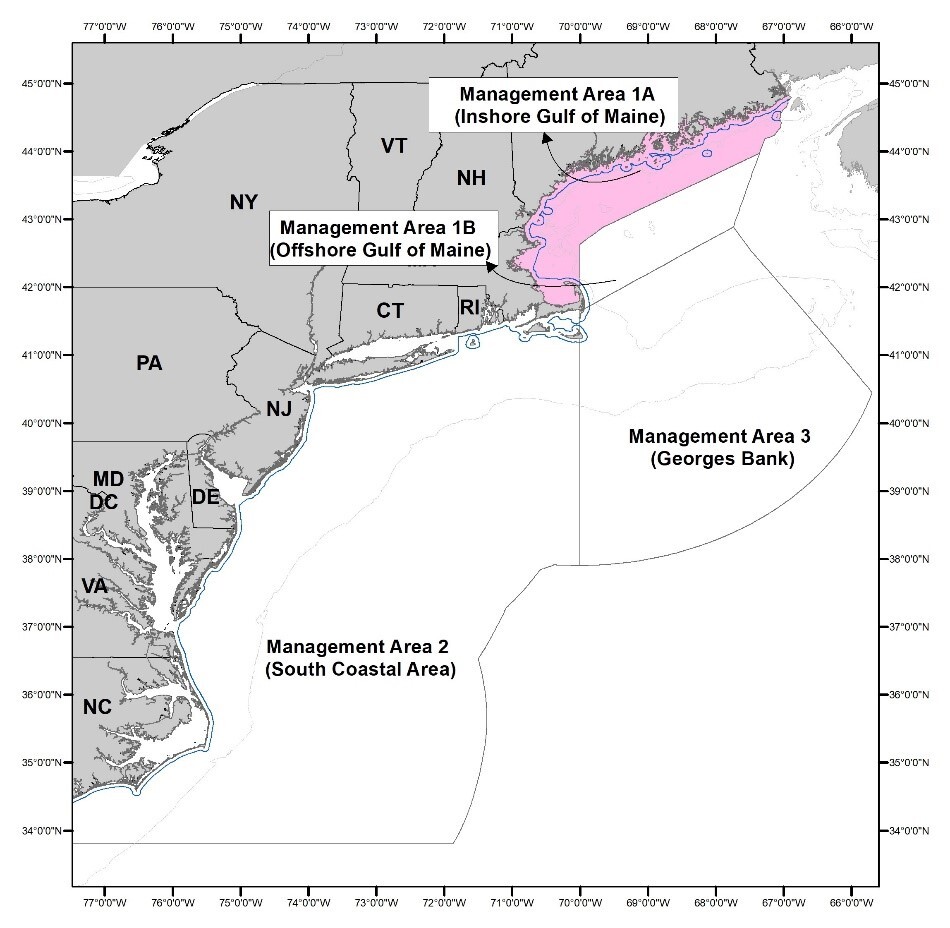 Map of Herring Management Areas Highlighting Area 1A.