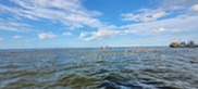 A large circular yellow net is set in the ocean with white birds flocking around it.