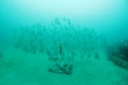 An example of an underwater acoustic recorder deployed on the ocean floor to listen for whales. Photo: NOAA Fisheries.