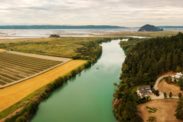 Aerial view of the Skagit River Delta showing the proximity of agriculture and development.