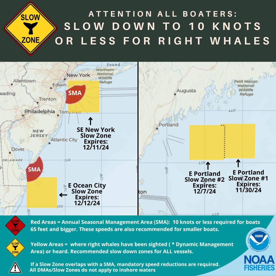 Map of current right whale slow zones in the northeast.