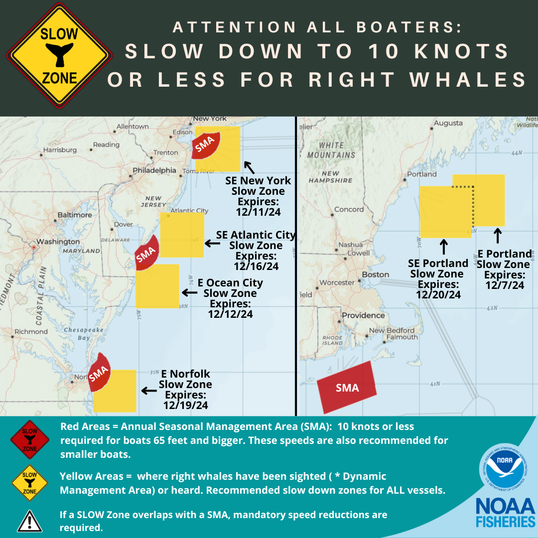 Map of current right whale slow zones in the northeast.