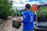 A person in a blue BoriCorps shirt holds 3 potted plants.