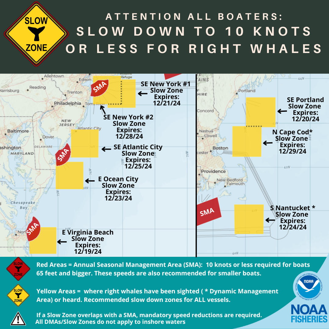 Middle Atlantic CFR-9-23 Middle Atlantic CFR-9-23 Cabinet Frame Rack (9 RU) CFR-9-23 B\u0026H