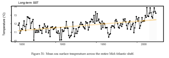 Sea surface temperature