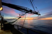 750x500-SEFSC-shrimptrawl-shrimpelectroniclogbook-katewalters