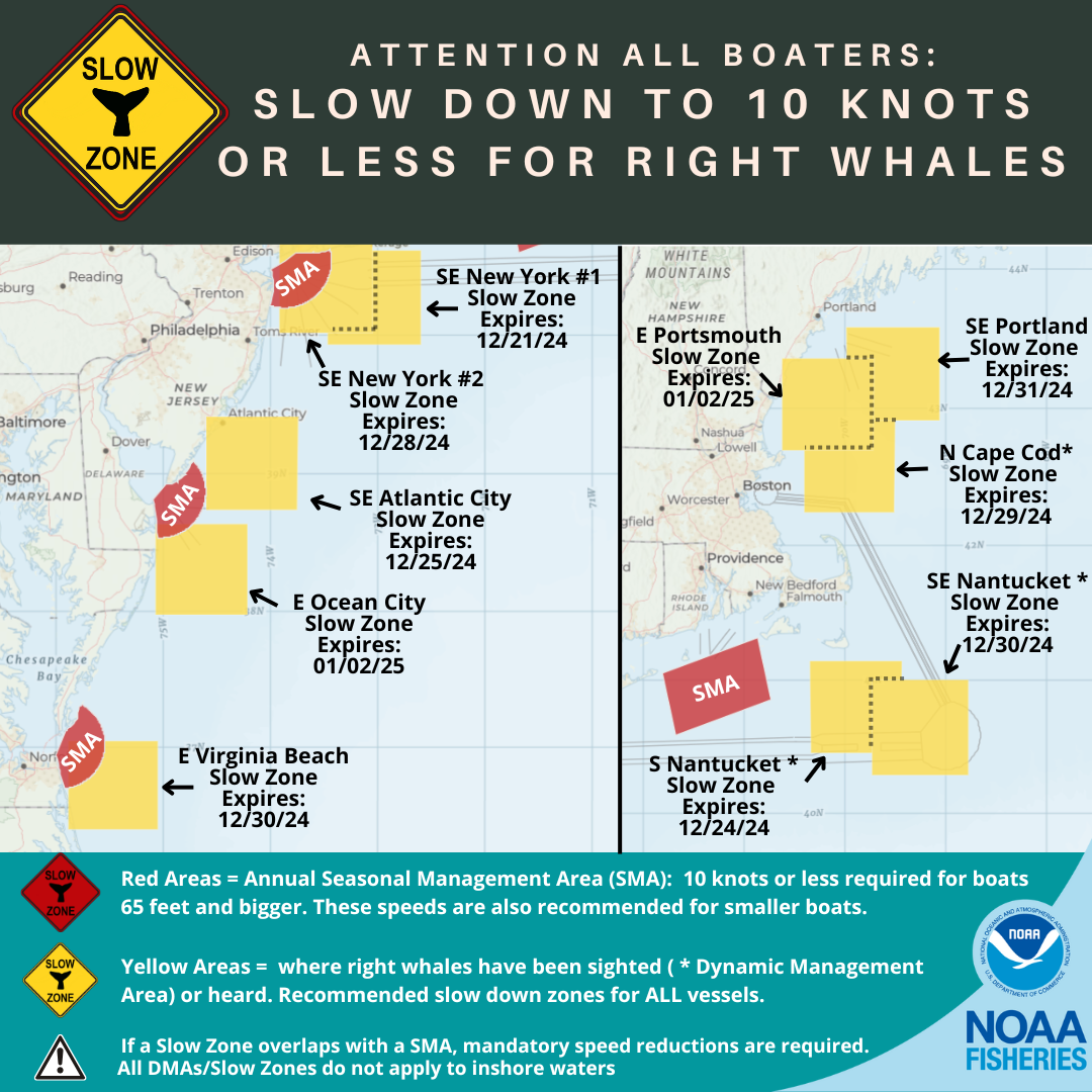 Active Right Whale Slow Zones in New England and Mid-Atlantic 12/19