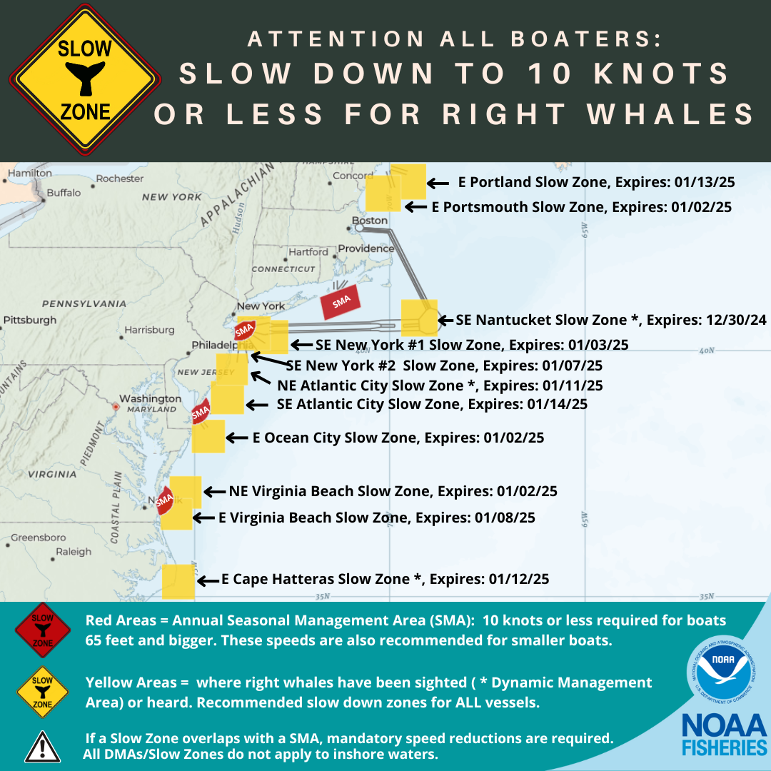 Right Whale Slow Zones 123024