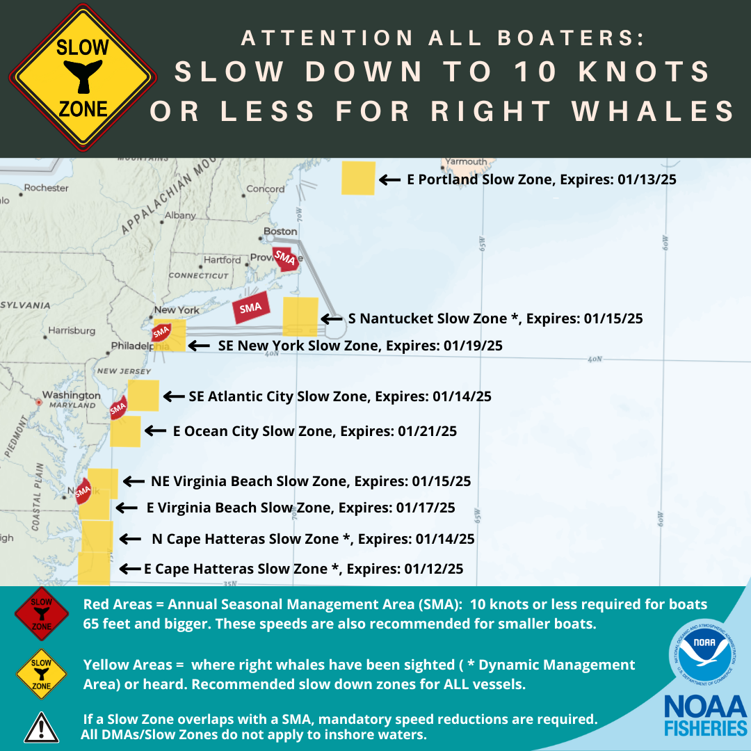 Map of current right whale slow zones in the northeast.