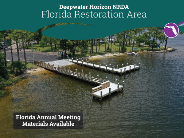 2025-01-FL-meeting materials