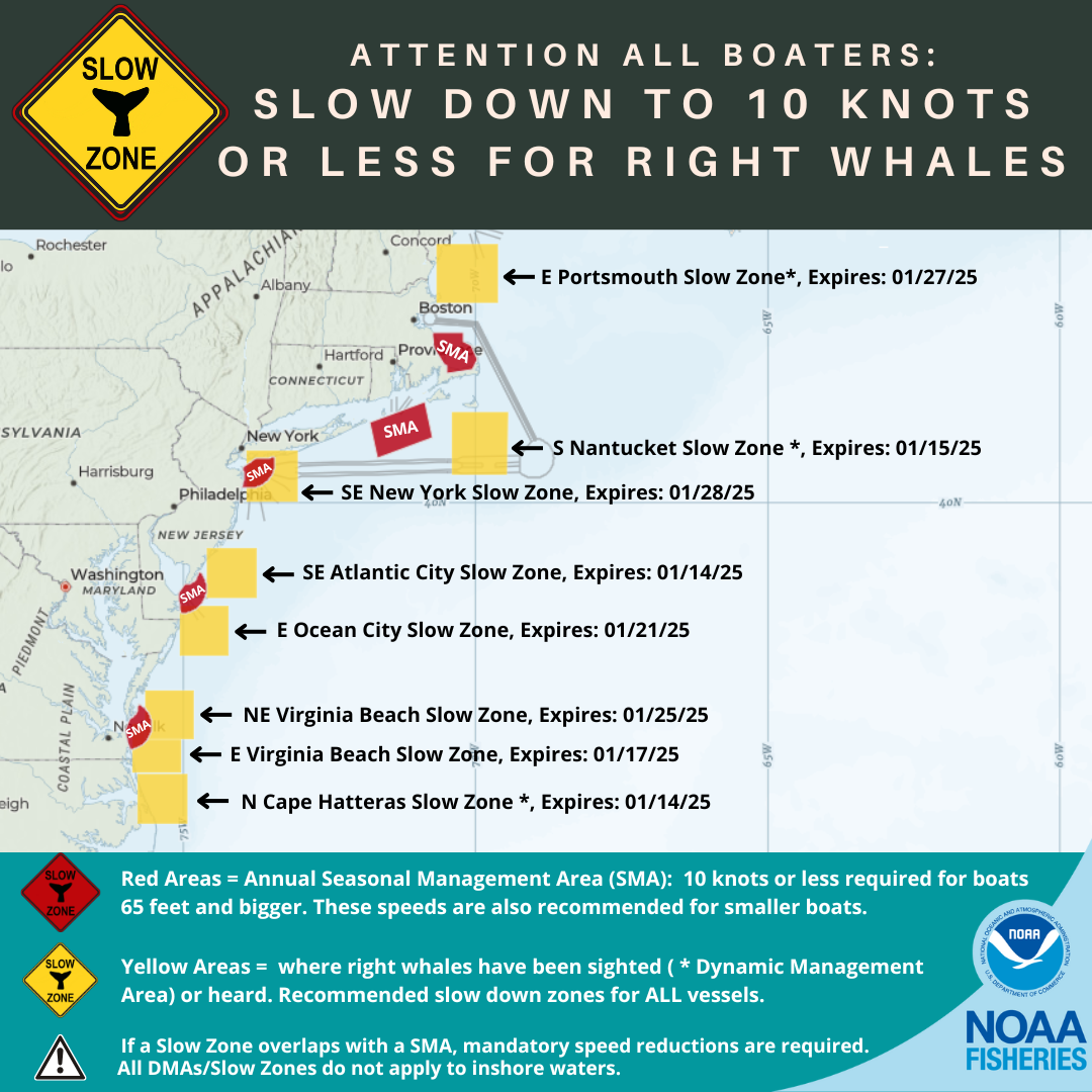 Right Whale Slow Zones in the US Atlantic 1/14/25